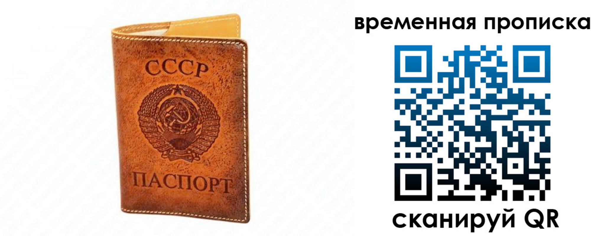 временная прописка в Луге